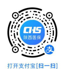 陕西医保支付宝小程序